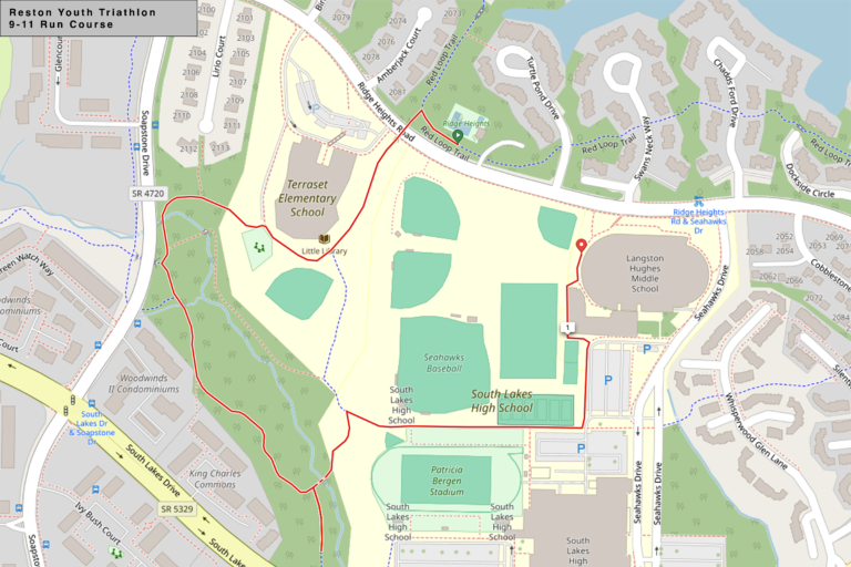 RYT run 9-11 years old